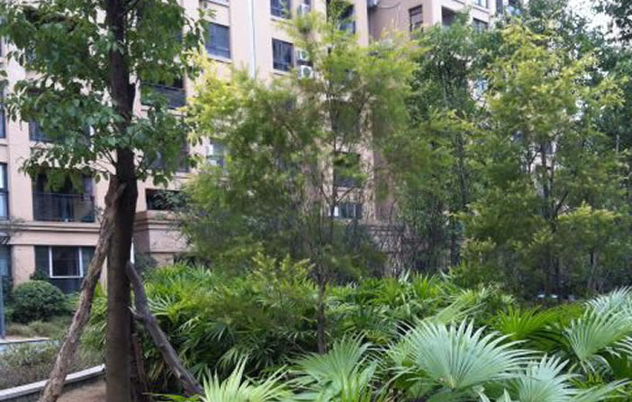 通宝tb·(中国区)官网首页